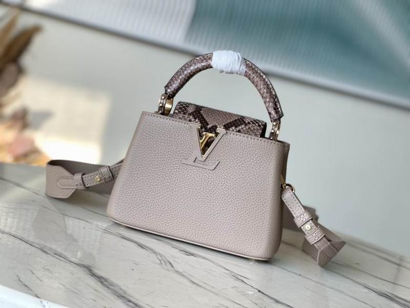 LV Handbags 29